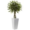 52 In. Artificial Ficus Tree With White Planter UV Resistant (Indoor/Outdoor)