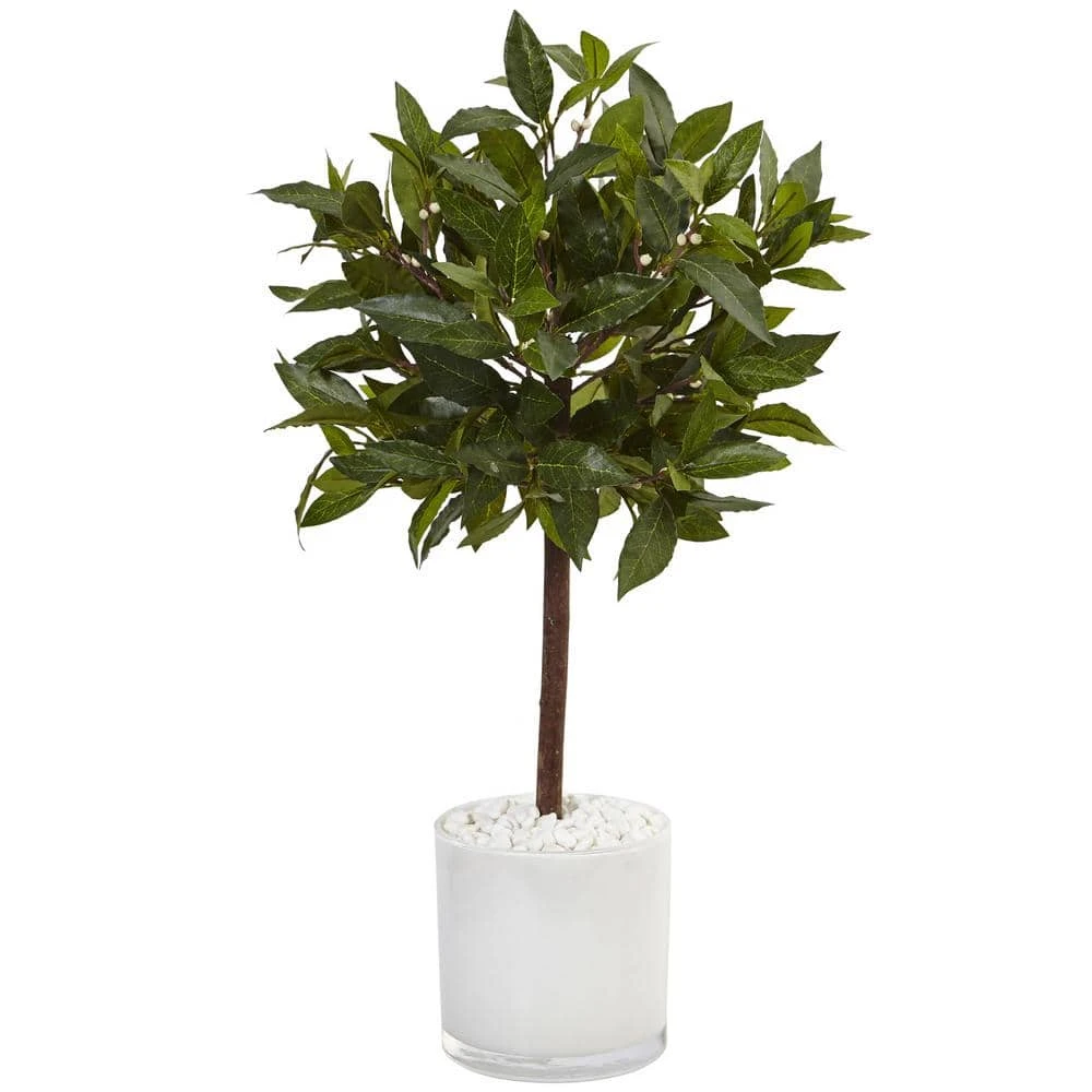Indoor Sweet Bay Artificial Tree In White Glossy Cylinder 3 Indoor Sweet Bay Artificial Tree In White Glossy Cylinder