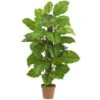 Real Touch 52 In. Artificial H Green Large Leaf Philodendron Silk Plant -AFLORAL ONLINE STORE nearly natural artificial trees 6583 64 1000