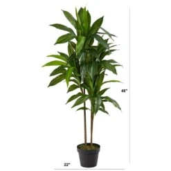 Real Touch 48 In. Artificial H Green Dracaena Silk Plant 20 Real Touch 48 In. Artificial H Green Dracaena Silk Plant -AFLORAL ONLINE STORE nearly natural artificial trees 6585 fa 1000