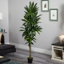 Real Touch 6 Ft. Artificial Dracaena Silk Plant -AFLORAL ONLINE STORE nearly natural artificial trees 6596 31 1000
