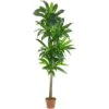 Real Touch 6 Ft. Artificial Dracaena Silk Plant -AFLORAL ONLINE STORE nearly natural artificial trees 6596 64 1000