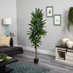 Real Touch 6 Ft. Artificial Dracaena Silk Plant -AFLORAL ONLINE STORE nearly natural artificial trees 6596 c3 1000