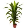 Real Touch 4 Ft. Artificial Green Dracaena Silk Plant -AFLORAL ONLINE STORE nearly natural artificial trees 6650 64 1000