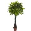 4 Ft. Artificial Money Plant (Real Touch) 1 4 Ft. Artificial Money Plant (Real Touch) -AFLORAL ONLINE STORE nearly natural artificial trees 6812 64 1000