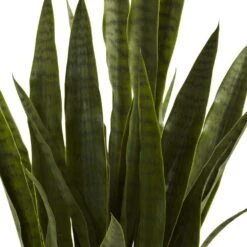 Artificial Sansevieria With Black Planter -AFLORAL ONLINE STORE nearly natural artificial tropical plants 4855 4f 1000