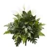 Indoor 27 In. Mixed Spathiphyllum Artificial Plant (2-Set) -AFLORAL ONLINE STORE nearly natural artificial tropical plants 6073 s2 64 1000