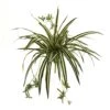 23 In. Artificial Spider Plant Bush (Set Of 4) -AFLORAL ONLINE STORE nearly natural artificial tropical plants 6118 s4 64 1000