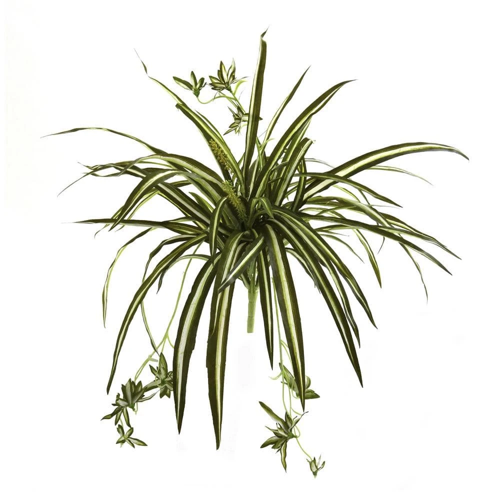 23 In. Artificial Spider Plant Bush (Set Of 4) 3 23 In. Artificial Spider Plant Bush (Set Of 4)