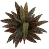Indoor 20 In. Peacock Artificial Plant (4-Set) -AFLORAL ONLINE STORE nearly natural artificial tropical plants 6139 s4 64 1000