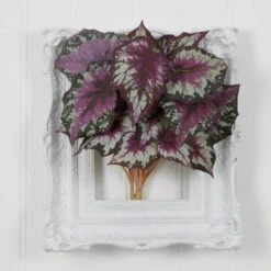 16 In. Artificial Wax Begonia Bush (Set Of 6) 10 16 In. Artificial Wax Begonia Bush (Set Of 6) -AFLORAL ONLINE STORE nearly natural artificial tropical plants 6146 s6 1f 1000