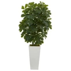 40 In. Schefflera Artificial Plant In White Vase (Real Touch)