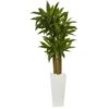 5 Ft. Cornstalk Dracaena Artificial Plant In White Tower Planter 1 5 Ft. Cornstalk Dracaena Artificial Plant In White Tower Planter -AFLORAL ONLINE STORE nearly natural artificial tropical plants 6391 64 1000
