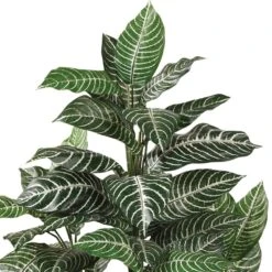 3 Ft. Artificial Zebra Silk Plant -AFLORAL ONLINE STORE nearly natural artificial tropical plants 6542 44 1000