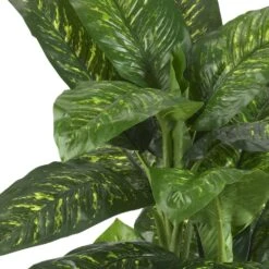 Real Touch 5 Ft. Artificial Green Dieffenbachia Silk Potted Plant 10 Real Touch 5 Ft. Artificial Green Dieffenbachia Silk Potted Plant -AFLORAL ONLINE STORE nearly natural artificial tropical plants 6573 4f 1000