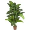 Real Touch 5 Ft. Artificial Green Dieffenbachia Silk Potted Plant 2 Real Touch 5 Ft. Artificial Green Dieffenbachia Silk Potted Plant -AFLORAL ONLINE STORE nearly natural artificial tropical plants 6573 64 1000