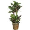 45 In. Artificial Maranta Silk Plant With Wicker Basket -AFLORAL ONLINE STORE nearly natural artificial tropical plants 6591 0308 64 1000