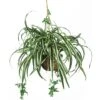 27 In. Artificial Silk Spider Plant Hanging Basket -AFLORAL ONLINE STORE nearly natural artificial tropical plants 6607 64 1000