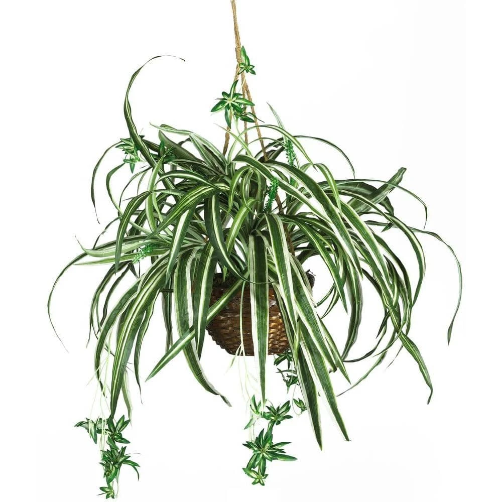 27 In. Artificial Silk Spider Plant Hanging Basket 3 27 In. Artificial Silk Spider Plant Hanging Basket