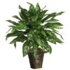 31 In. Artificial Silver King With Basket Silk Plant -AFLORAL ONLINE STORE nearly natural artificial tropical plants 6615 64 1000