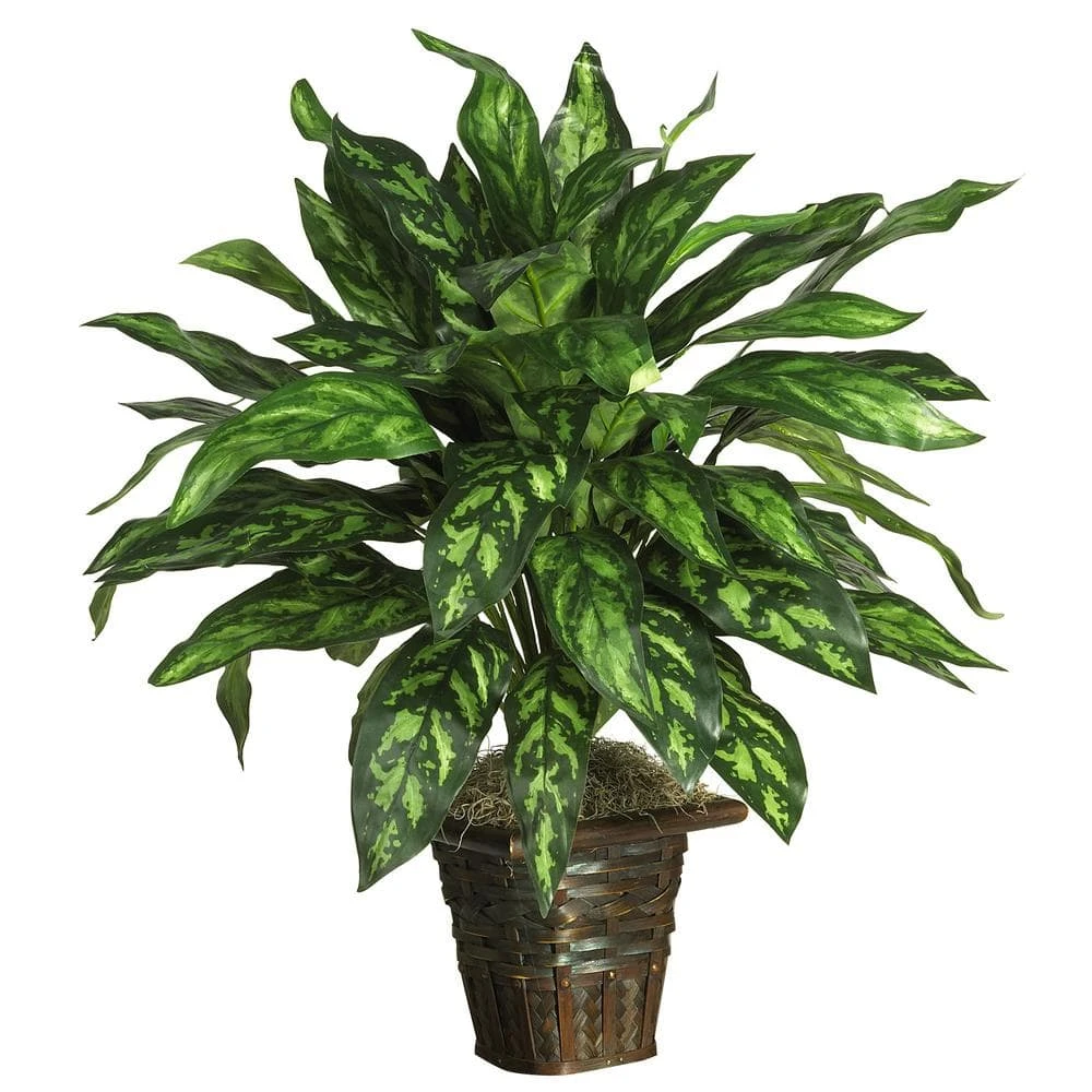 31 In. Artificial Silver King With Basket Silk Plant 3 31 In. Artificial Silver King With Basket Silk Plant