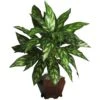 29 In. Artificial Silver King With Wood Vase Silk Plant 2 29 In. Artificial Silver King With Wood Vase Silk Plant -AFLORAL ONLINE STORE nearly natural artificial tropical plants 6617 64 1000