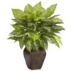 23 In. Artificial H Green Dieffenbachia With Decorative Vase Silk Plant -AFLORAL ONLINE STORE nearly natural artificial tropical plants 6676 64 1000