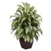 38 In. Artificial H Green Silver Queen With Decorative Planter Silk Plant 1 38 In. Artificial H Green Silver Queen With Decorative Planter Silk Plant -AFLORAL ONLINE STORE nearly natural artificial tropical plants 6693 64 1000