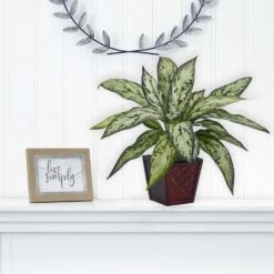 12 In. Artificial H Green Silver Queen Silk Plant (Set Of 2) -AFLORAL ONLINE STORE nearly natural artificial tropical plants 6694 s2 31 1000