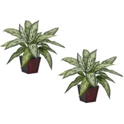 12 In. Artificial H Green Silver Queen Silk Plant (Set Of 2)