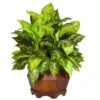24 In. Artificial H Green Variegated Dieffenbachia With Large Hexagon Silk Plant -AFLORAL ONLINE STORE nearly natural artificial tropical plants 6709 64 1000