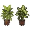 20.5 In. Artificial Tabletop H Green Dieffenbachia With Wood Vase Silk Plant (Set Of 2) -AFLORAL ONLINE STORE nearly natural artificial tropical plants 6712 as s2 64 1000