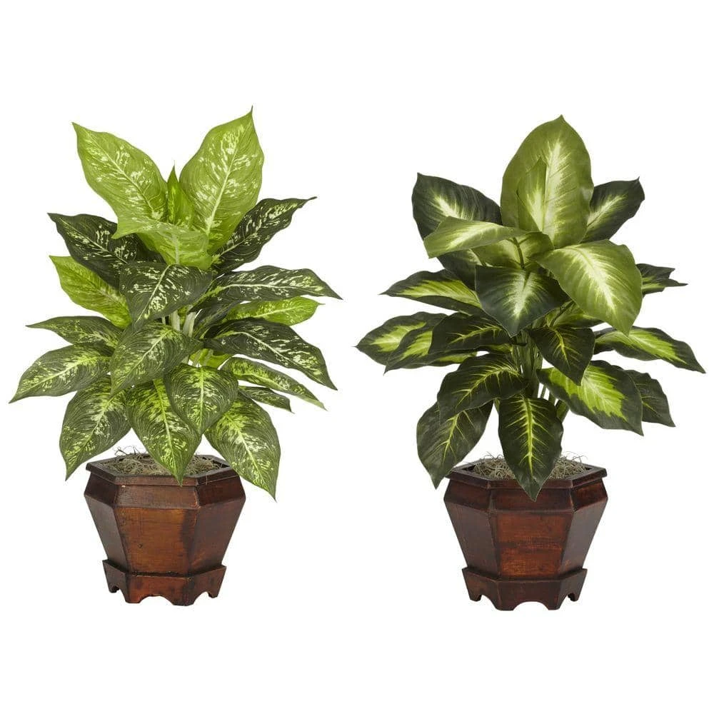 20.5 In. Artificial Tabletop H Green Dieffenbachia With Wood Vase Silk Plant (Set Of 2) 3 20.5 In. Artificial Tabletop H Green Dieffenbachia With Wood Vase Silk Plant (Set Of 2)