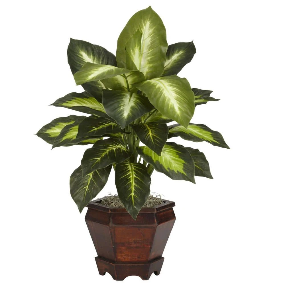 20.5 In. Artificial H Green Dieffenbachia With Wood Vase Silk Plant (Set Of 2) 4 20.5 In. Artificial H Green Dieffenbachia With Wood Vase Silk Plant (Set Of 2) - Image 3