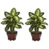 20.5 In. Artificial H Green Dieffenbachia With Wood Vase Silk Plant (Set Of 2) -AFLORAL ONLINE STORE nearly natural artificial tropical plants 6712 gd s2 64 1000