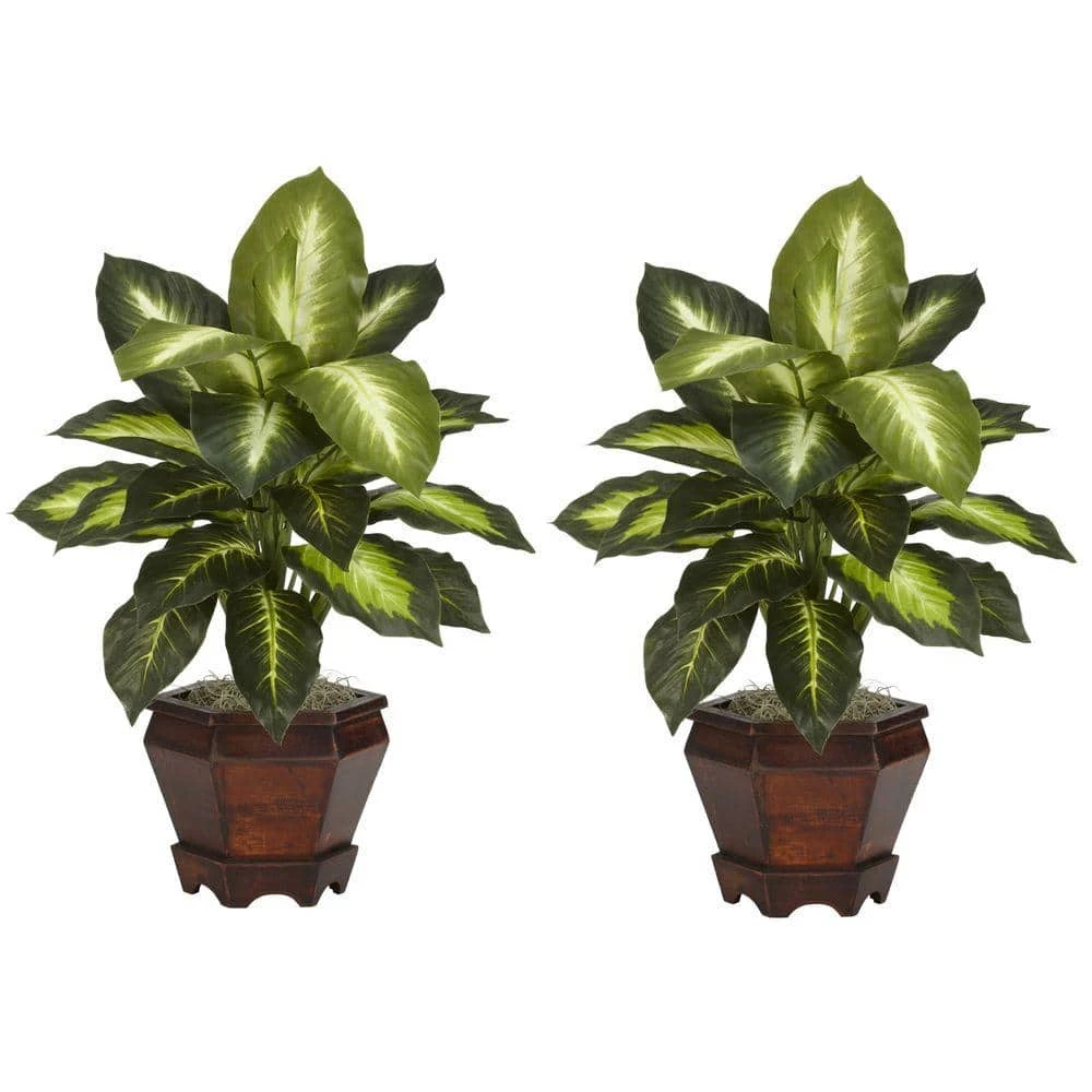 20.5 In. Artificial H Green Dieffenbachia With Wood Vase Silk Plant (Set Of 2) 2 20.5 In. Artificial H Green Dieffenbachia With Wood Vase Silk Plant (Set Of 2)
