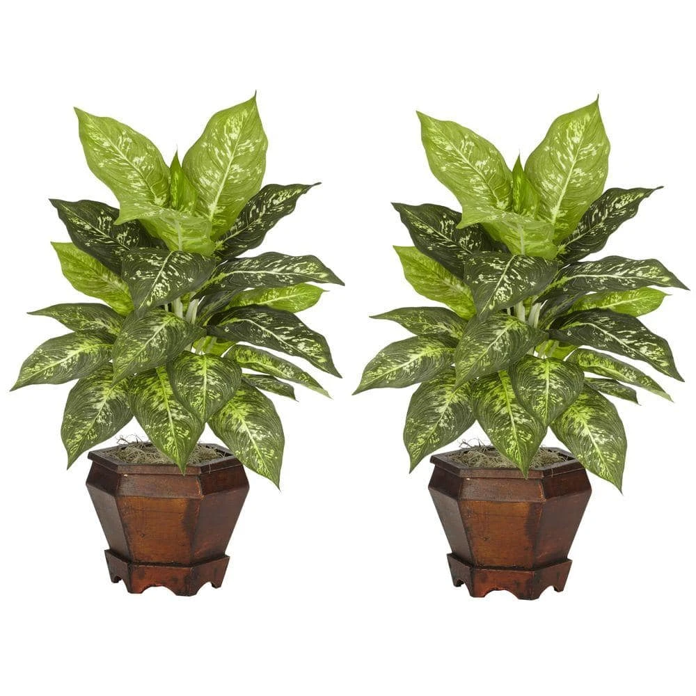 20.5 In. Artificial H Green Dieffenbachia Silk Plant With Wood Vase (Set Of 2) 3 20.5 In. Artificial H Green Dieffenbachia Silk Plant With Wood Vase (Set Of 2)