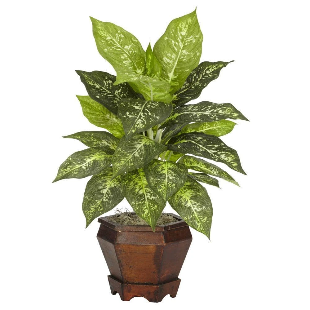 20.5 In. Artificial H Green Dieffenbachia Silk Plant With Wood Vase (Set Of 2) 4 20.5 In. Artificial H Green Dieffenbachia Silk Plant With Wood Vase (Set Of 2) - Image 2