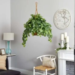 Artificial Nepthytis Hanging Basket 9 Artificial Nepthytis Hanging Basket -AFLORAL ONLINE STORE nearly natural artificial tropical plants 6738 31 1000