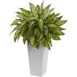 Artificial Aglaonema With White Decorative Planter