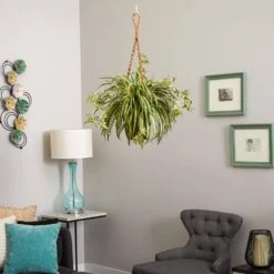 20 In. Artificial Spider Plant Hanging Basket -AFLORAL ONLINE STORE nearly natural artificial tropical plants 6846 1f 1000