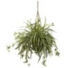20 In. Artificial Spider Plant Hanging Basket 2 20 In. Artificial Spider Plant Hanging Basket -AFLORAL ONLINE STORE nearly natural artificial tropical plants 6846 64 1000