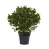 28 In. Artificial UV Resistant Indoor/Outdoor Peperomia Plant -AFLORAL ONLINE STORE nearly natural artificial tropical plants 6860 64 1000