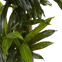 Indoor Artificial Corn Stalk Dracaena With Black Wash Planter -AFLORAL ONLINE STORE nearly natural artificial tropical plants 6869 4f 1000
