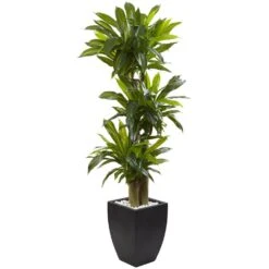 Indoor Artificial Corn Stalk Dracaena With Black Wash Planter