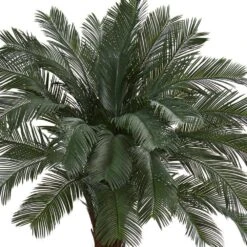6 Ft. UV Resistant Indoor/Outdoor Cycas Artificial Tree 17 6 Ft. UV Resistant Indoor/Outdoor Cycas Artificial Tree -AFLORAL ONLINE STORE nearly natural artificial tropical plants 6936 fa 1000