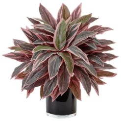 Indoor Caladium Artificial Plant In Black Glossy Planter 9 Indoor Caladium Artificial Plant In Black Glossy Planter -AFLORAL ONLINE STORE nearly natural artificial tropical plants 6940 31 1000