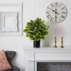 Indoor Artificial Rubber Plant In Glossy Cylinder (Real Touch) -AFLORAL ONLINE STORE nearly natural artificial tropical plants 6952 1f 1000