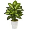 Indoor Dieffenbachia Artificial Plant In Swirl Planter -AFLORAL ONLINE STORE nearly natural artificial tropical plants 6973 64 1000