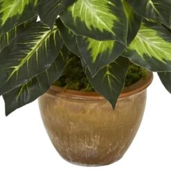 Indoor Dieffenbachia Artificial Plant In Ceramic Planter -AFLORAL ONLINE STORE nearly natural artificial tropical plants 8051 4f 1000